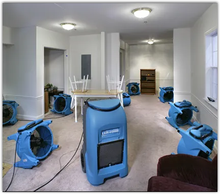 Water Mitigation Services in Otsego, MI