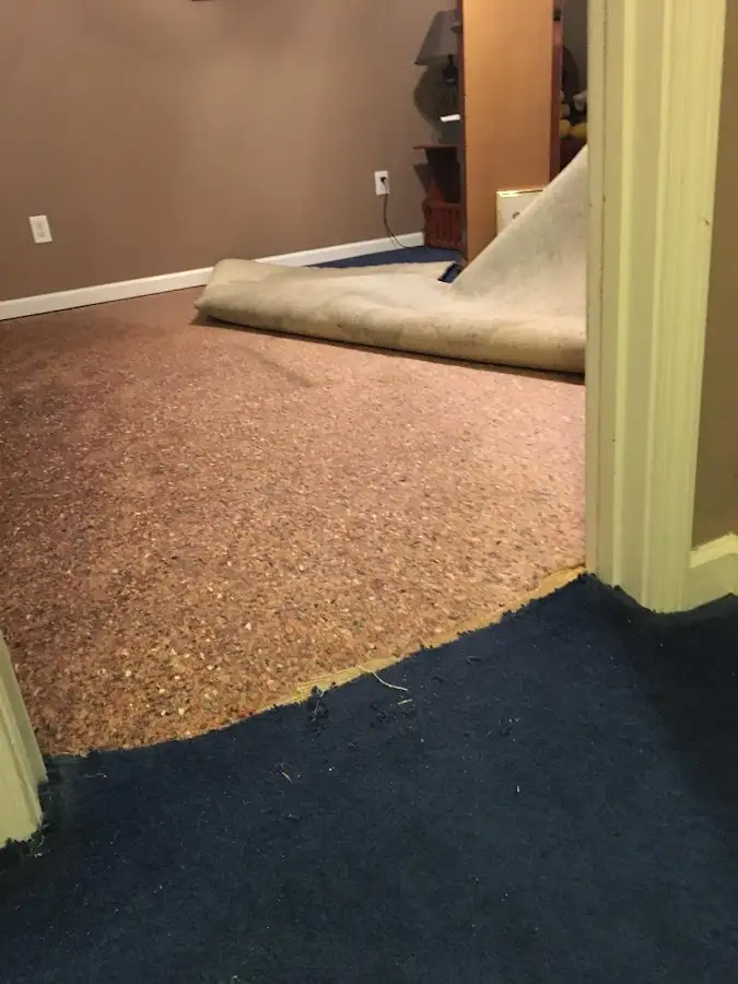 Carpet pad removal revealing water damage during Water Mitigation Services in Otsego