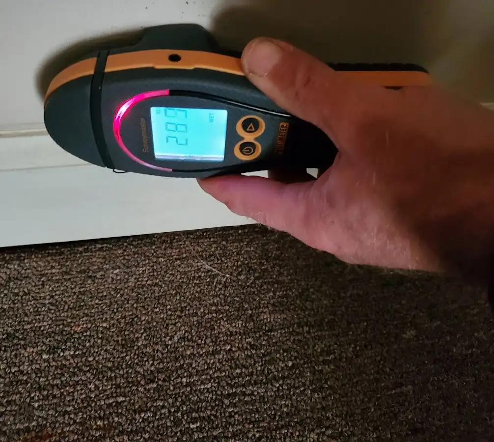 Moisture detection at baseboard during Mold Inspection & Testing in Otsego